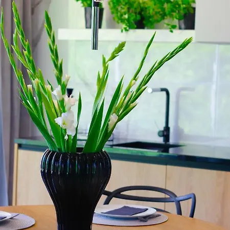 Olimpijska Nad Jeziorem By Rent4you * Olsztyn (Warmian-Masurian)