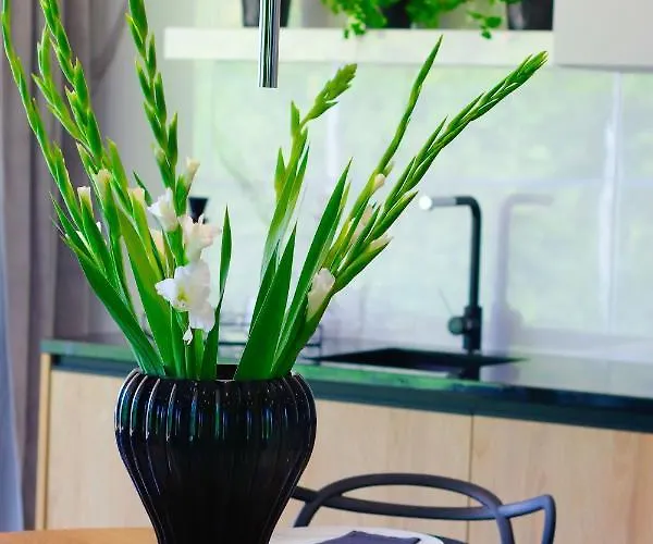 Olimpijska Nad Jeziorem By Rent4you * Olsztyn (Warmian-Masurian)